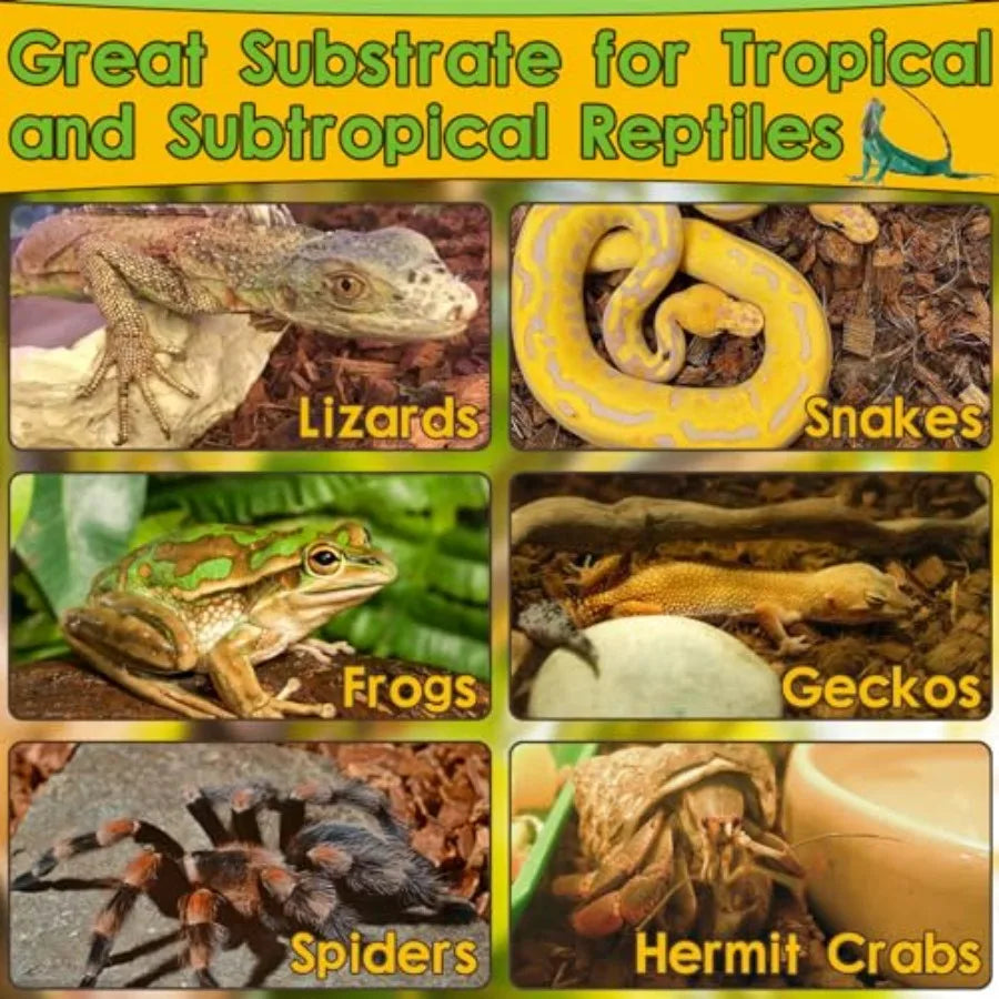 Coconut Husk Chips Substrate Reptiles Snakes Tortoises Geckos