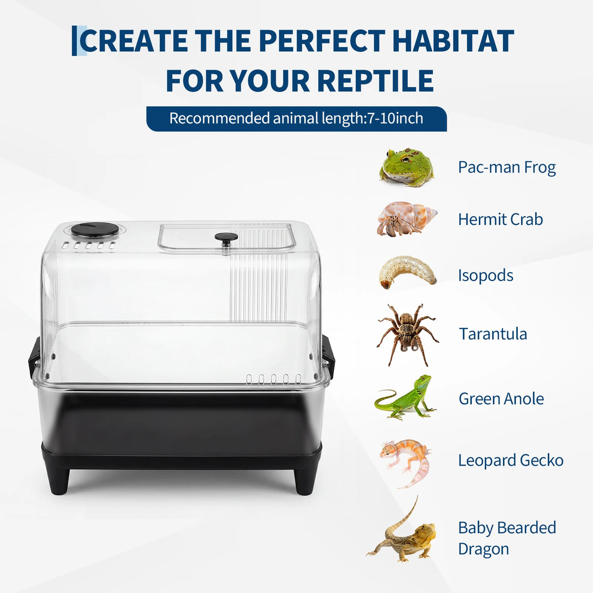 HiMISS Reptile Tank Starter Kit With Heating Pad And Accessories