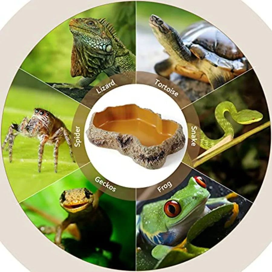 Resin Rock Worm Feeder Dish For Reptiles Amphibian Terrarium Decor